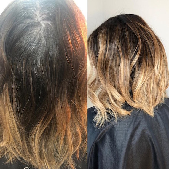 Grey Coverage / Color